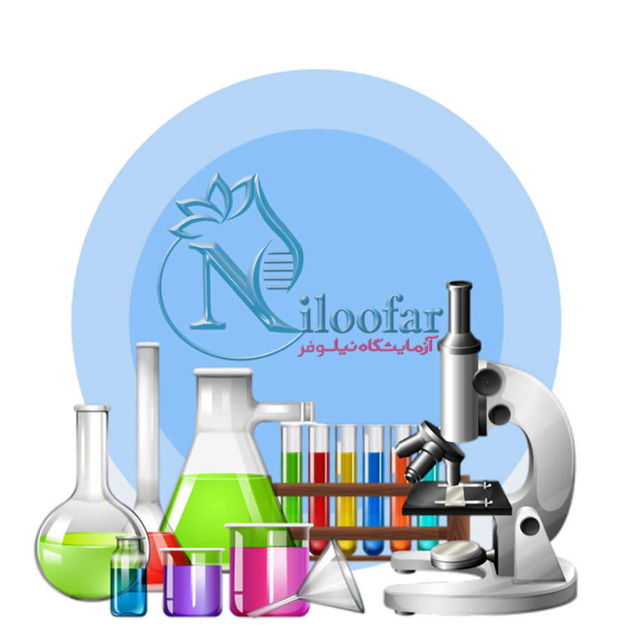 Niloofarlab